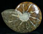 Wide Polished Ammonite Dish #7011-1